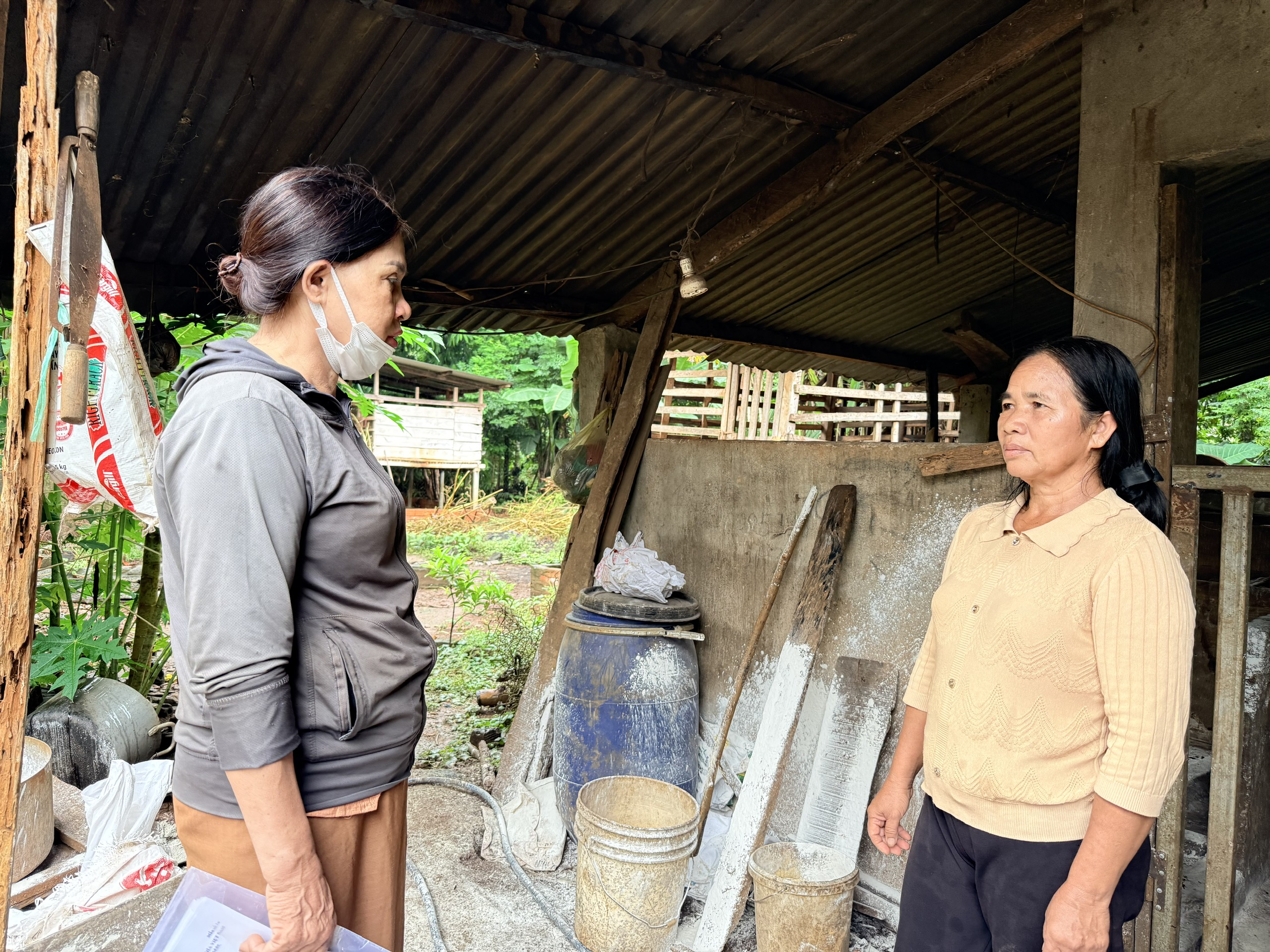 Dịch tả lợn châu Phi gây thiệt hại cho người chăn nuôi ở địa bàn xã Quảng Phú.